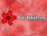 Logo BoksKobiet.com